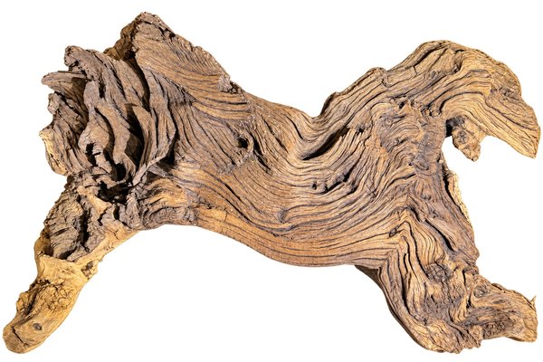 Large Mopani Driftwood