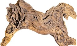 Large Mopani Driftwood
