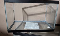 Aqueon 5.5gl tank