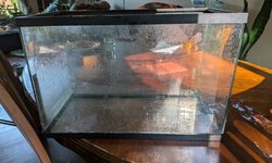 5.5gl tank