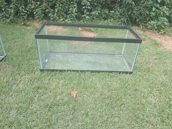 20 long tank