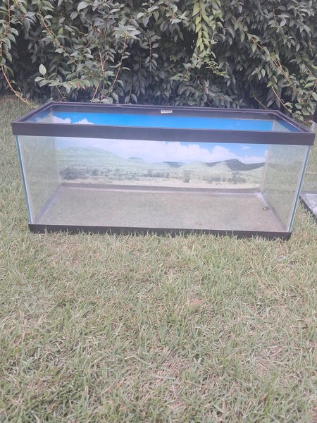 20 long tank