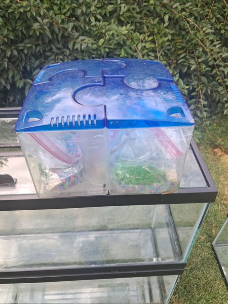 4 piece Beta puzzle tank