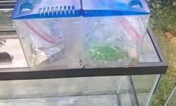 4 piece Beta puzzle tank