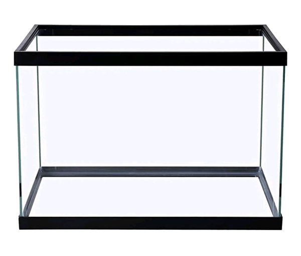 20 gallon tank