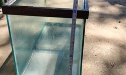 50 gallon breeder tank