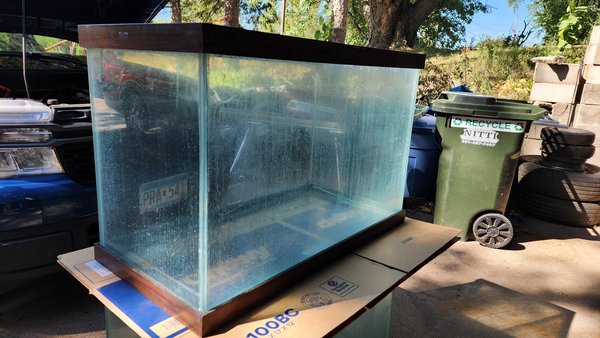 50 gallon breeder tank