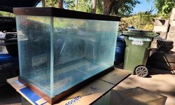 50 gallon breeder tank
