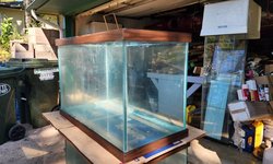 50 gallon breeder tank