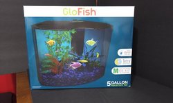 GloFish 5 gallon  Aquarium Kit