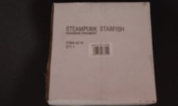 Zoomed Steampunk Starfish