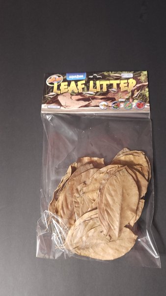 Zoomed Leaf Litter