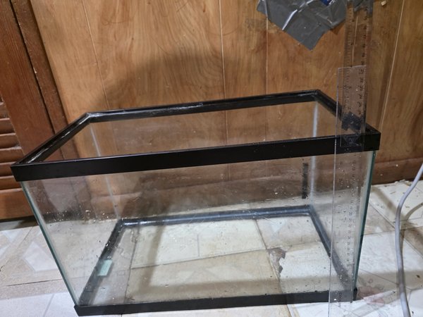 10 gallon tank