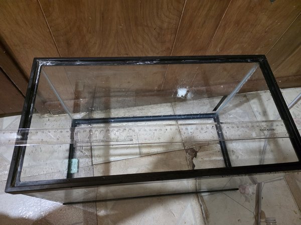 10 gallon tank