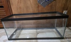 15 gallon tank