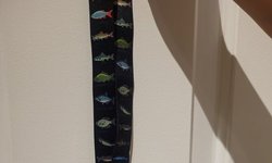 Fish lanyard