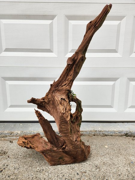 Large Driftwood 34.5"Tall x 20"Wide