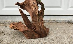 Large Driftwood 34.5"Tall x 20"Wide