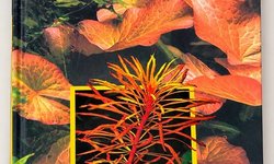 Aquarium Plants Book - Kasselmann