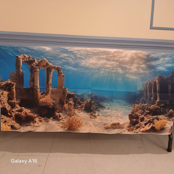 55 gal  background