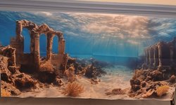 55 gal  background
