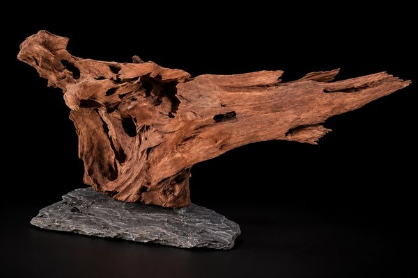Large Driftwood on Rock – Approx. 15 Inc