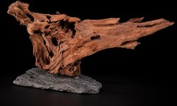 Large Driftwood on Rock – Approx. 15 Inc