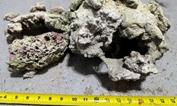 3  Pieces of Dry Live Rock