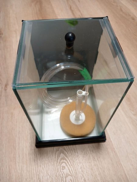 1 gallon show tank 6x6x8