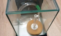 1 gallon show tank 6x6x8