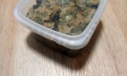 Sera Tropical Fish Flakes - 45% protein