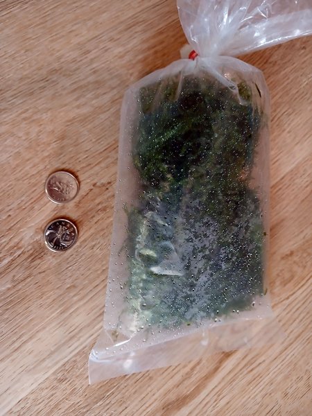 Portion of Moss