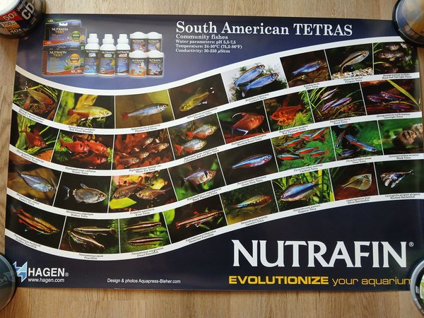 Set of 4 NutraFin Hagen posters