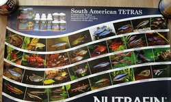 Set of 4 NutraFin Hagen posters