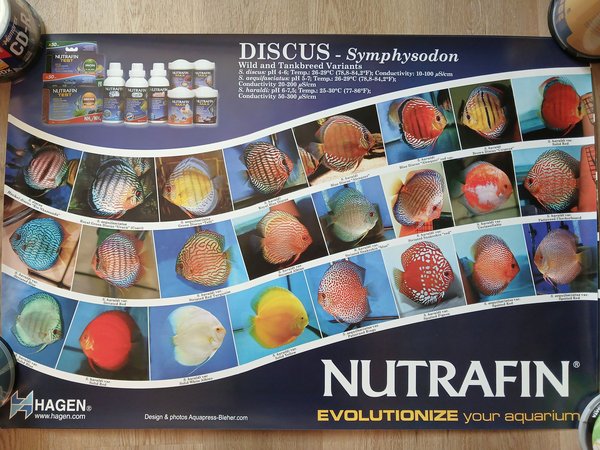 Set of 4 NutraFin Hagen posters
