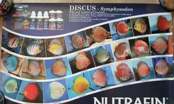 Photo 2 of Set of 4 NutraFin Hagen posters