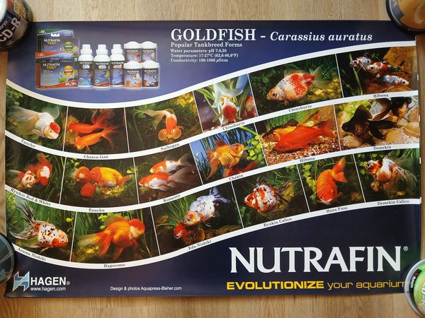 Set of 4 NutraFin Hagen posters