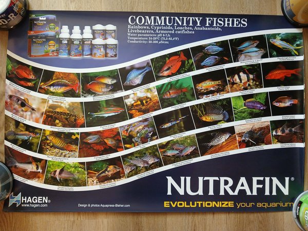 Set of 4 NutraFin Hagen posters