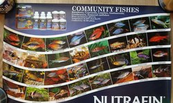 Photo 4 of Set of 4 NutraFin Hagen posters