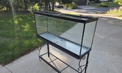 55 Gal Tank and Iron Stand