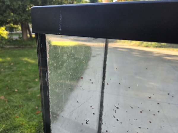 Black corner caulk and dried algae spots
