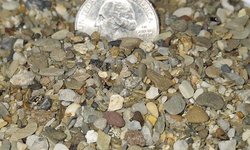 Substrate - Grey mixed grains