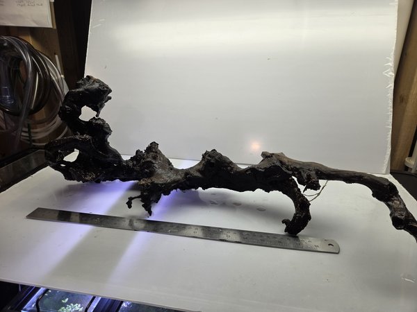 Lg Drift Wood