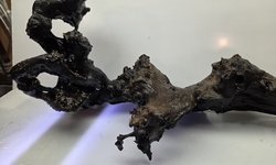 Photo 2 of Lg Drift Wood