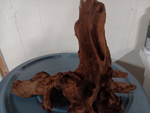Mopani Drift Wood