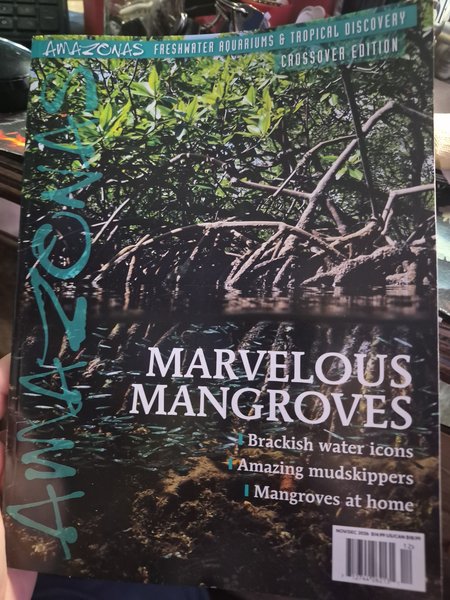 Amazonas Magazine Nov/Dec 2026