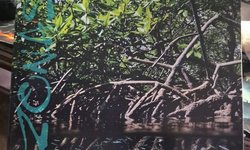 Amazonas Magazine Nov/Dec 2026