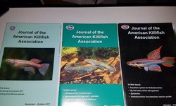 8 Isssues J of Amer Killifish Assoc