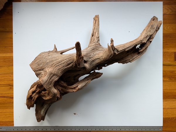 A Driftwood from another lot