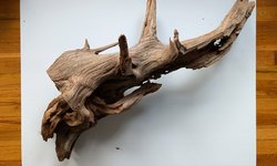 Driftwood